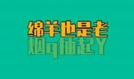 今日吃瓜每日必吃 明星资讯号是什么